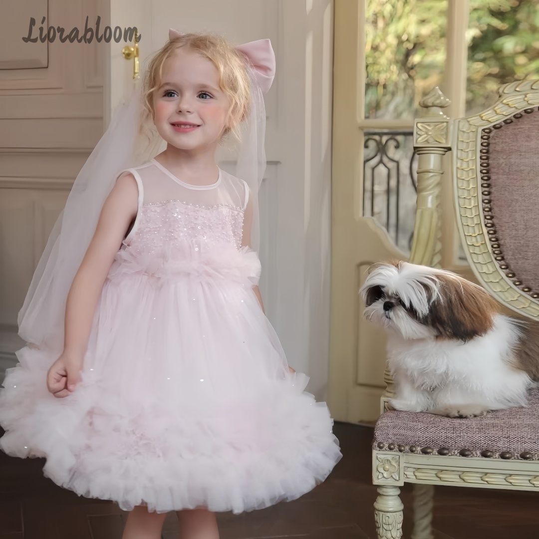 Girls' Tulle Gown Layered Skir - Women Formal Party Wear Dress 评论和价格