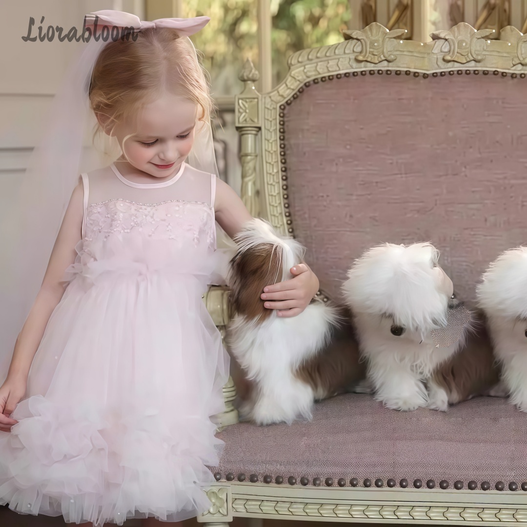 Girls' Tulle Gown Layered Skir - Women Formal Party Wear Dress 评论和价格